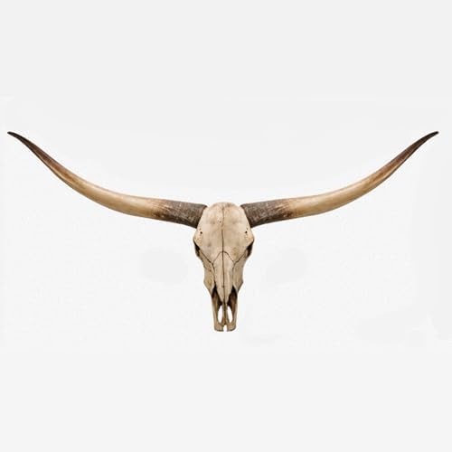 70-Inch Longhorn Cow Skull Wall Sculpture