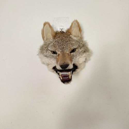 Realistic Wolf Head Wall Sculpture 11x98x9 Inches