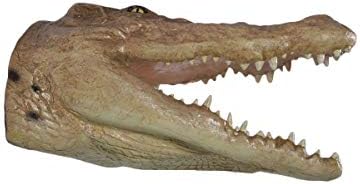 Crocodile Head Large Trophy Wall Sculpture Decor 1
