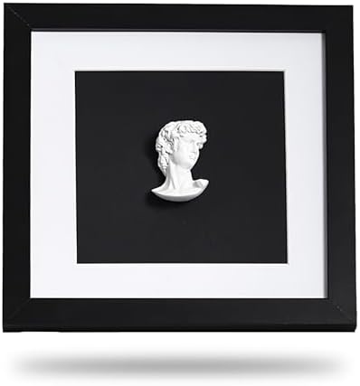 Modern Luxury 9x9 David Frame Art Decor