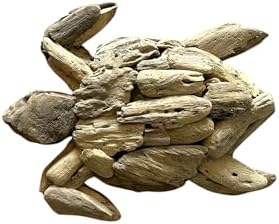 OMA Driftwood Turtle Wall Decor Handcrafted Coastal Art