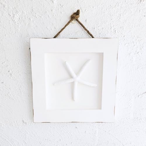 DECOR BIZZ Starfish Wall Decor Framed with Nautical Rope
