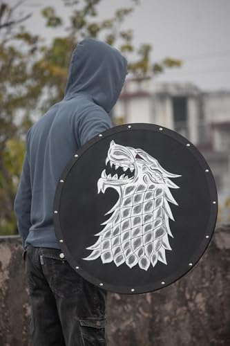 The Spidy Viking Shield Game of Thrones Inspired Limited Edition Wall Decor 30 Inches