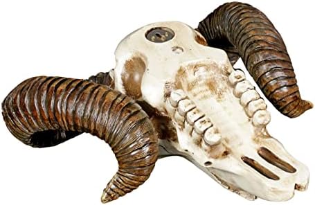 Pacific Giftware Ram Skull and Horns Wall Trophy Decor 11 Inch