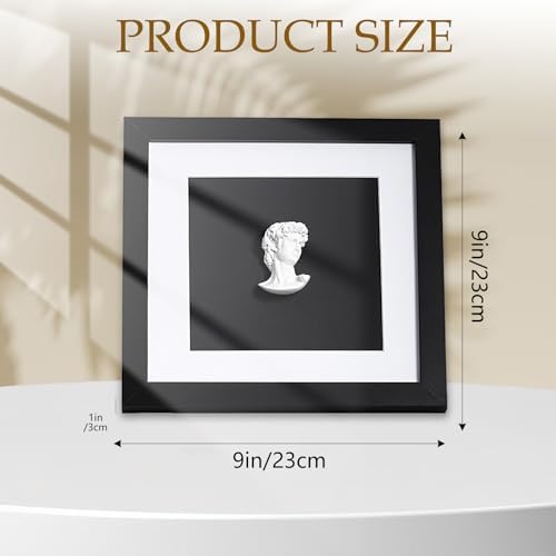 Modern Luxury 9x9 David Frame Art Decor