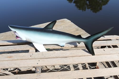 18 Inch 3D Great White Shark Wall Decor 1
