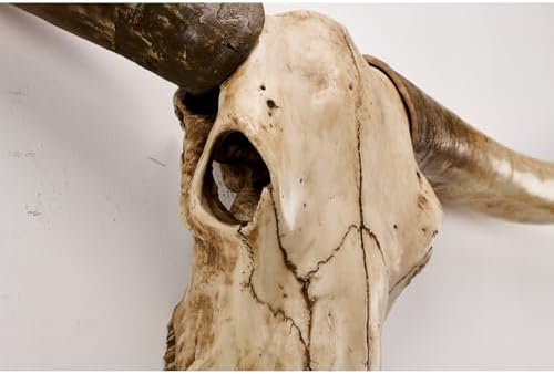 70-Inch Longhorn Cow Skull Wall Sculpture