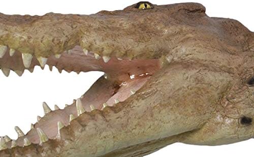 Crocodile Head Large Trophy Wall Sculpture Decor 1