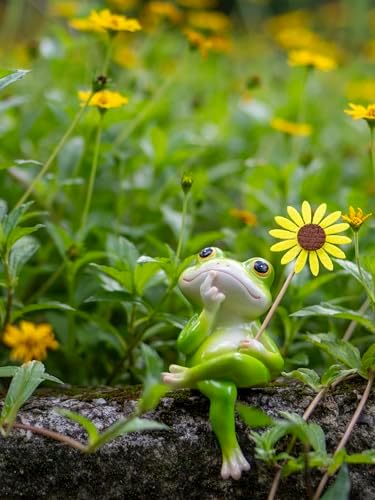 Fuzrea Funny Frog Statue with Removable Flower