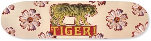 Retro Collage Art Acrylic Wall Decor 8x32 Indian Tiger Skateboard