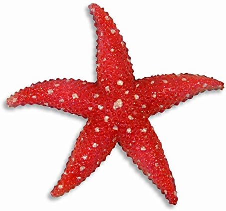 Hand Painted Starfish Wall Sculpture 6 Inch Red