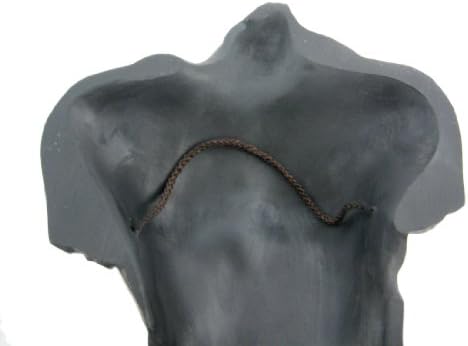 Veronese Bronze Finish Nude Male Torso Wall Sculpture