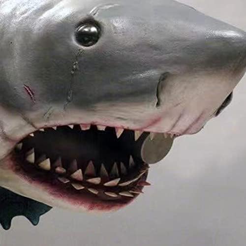 WOBBLO Shark Head Wall Sculpture 3D Resin Decor Cute Realistic Wall Mount