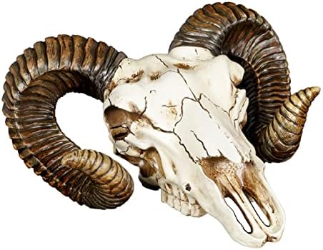 Pacific Giftware Ram Skull and Horns Wall Trophy Decor 11 Inch