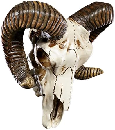 Pacific Giftware Ram Skull and Horns Wall Trophy Decor 11 Inch