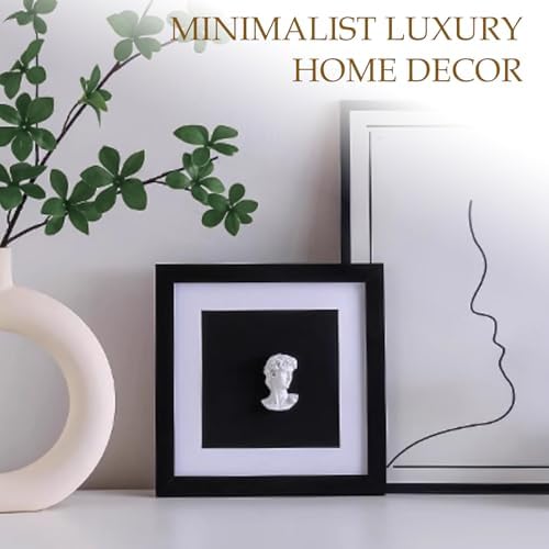 Modern Luxury 9x9 David Frame Art Decor