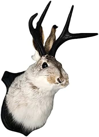PAHAYU Antler Rabbit Head Wall Decor - 2 Pack Faux Deer Head Mount