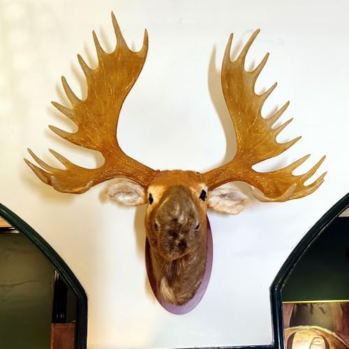 TRABEATOGA Realistic Moose Head Wall Sculpture 35W x 362H
