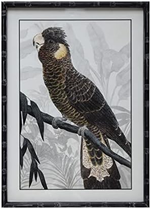 Creative Co-Op Wood Framed Glass Wall Decor with Parrot 1