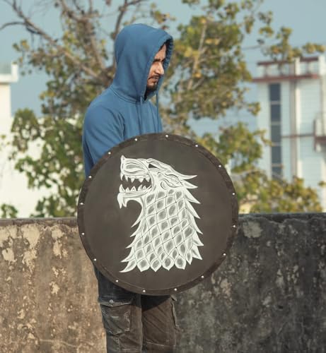 The Spidy Viking Shield Game of Thrones Inspired Limited Edition Wall Decor 30 Inches