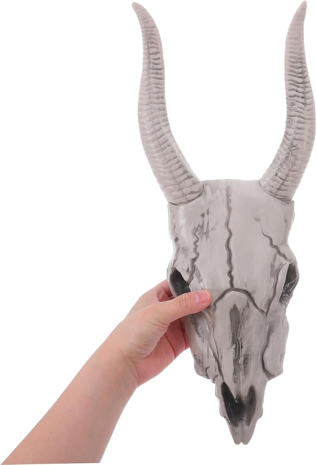 Realistic Skull Sheep Head Gothic Wall Decor Halloween Indoor Sculpture