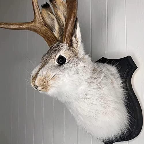 Antlers Head Sculpture Wall Hanging Decor