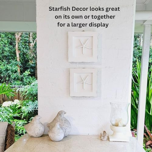 DECOR BIZZ Starfish Wall Decor Framed with Nautical Rope
