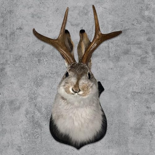 JOYWU Jackalope Wall Decor 10 In Easter Bunny Sculpture