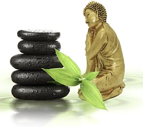 BRABUD Resin Buddha Statue 1063 Inch Gold Home Decor