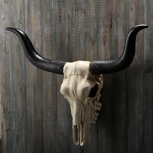 Veronese Design 14 Inch Long Horn Animal Skull Resin Wall Sculpture 1
