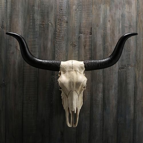 Veronese Design 14 Inch Long Horn Animal Skull Resin Wall Sculpture 1