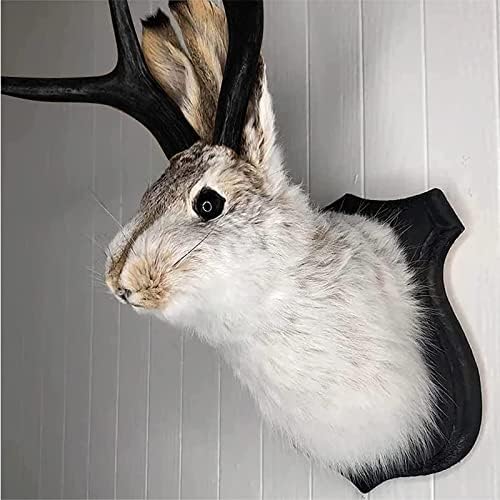 PAHAYU Antler Rabbit Head Wall Decor - 2 Pack Faux Deer Head Mount