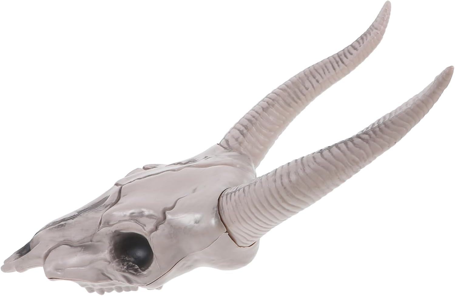 Realistic Skull Sheep Head Gothic Wall Decor Halloween Indoor Sculpture