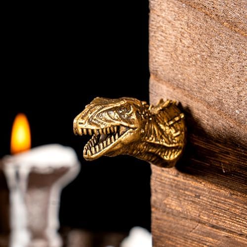 CHOVY Vintage Brass Banjo Dragon Head Wall Decor