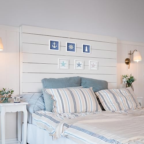Tide and Tales Starfish Wall Decor Set of 6