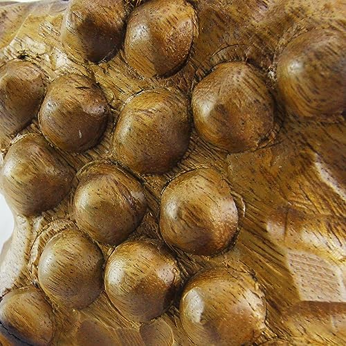 RoRo Handcarved Wooden Starfish Wall Hanging 12 Inch Natural Brown
