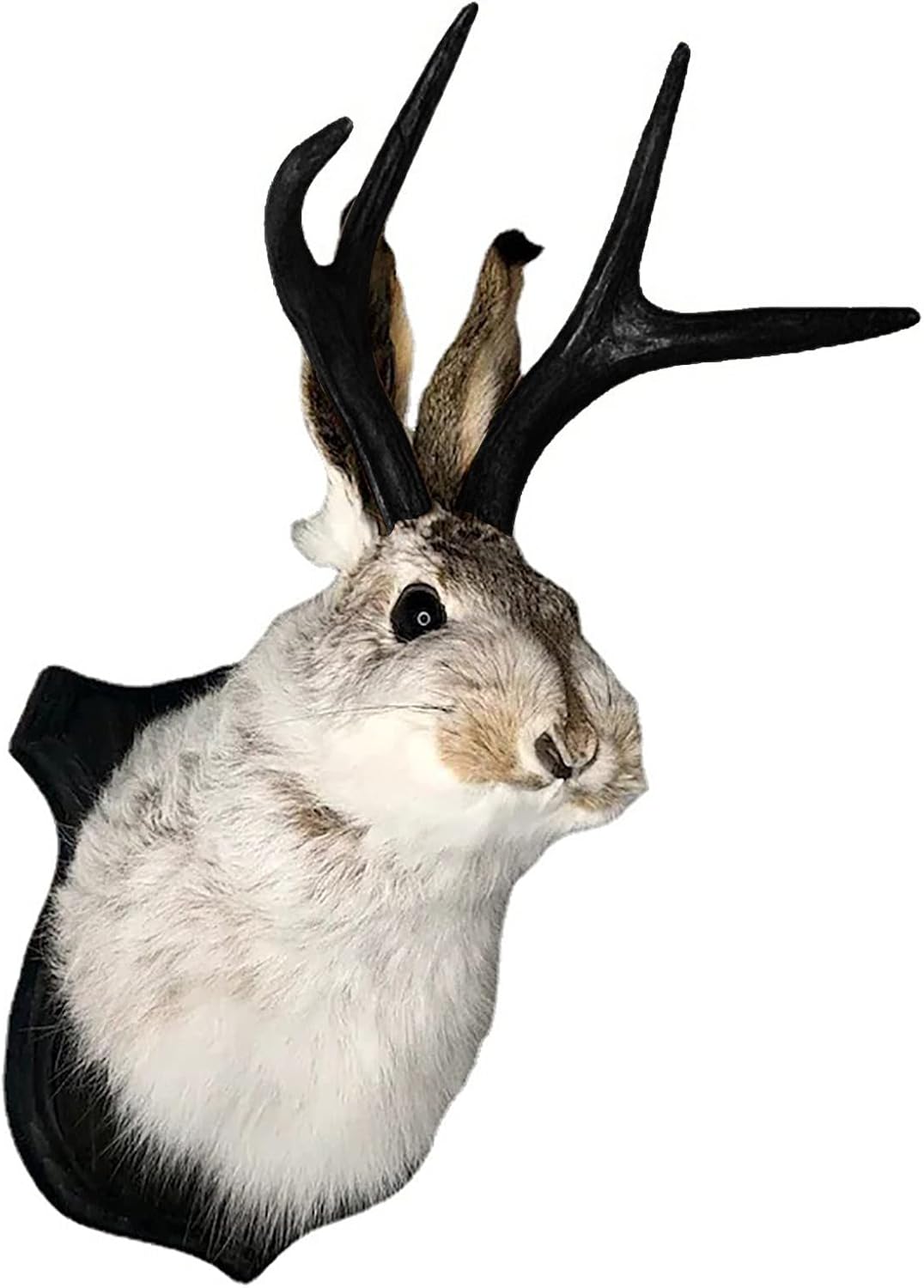 PAHAYU Antler Rabbit Head Wall Decor - 2 Pack Faux Deer Head Mount