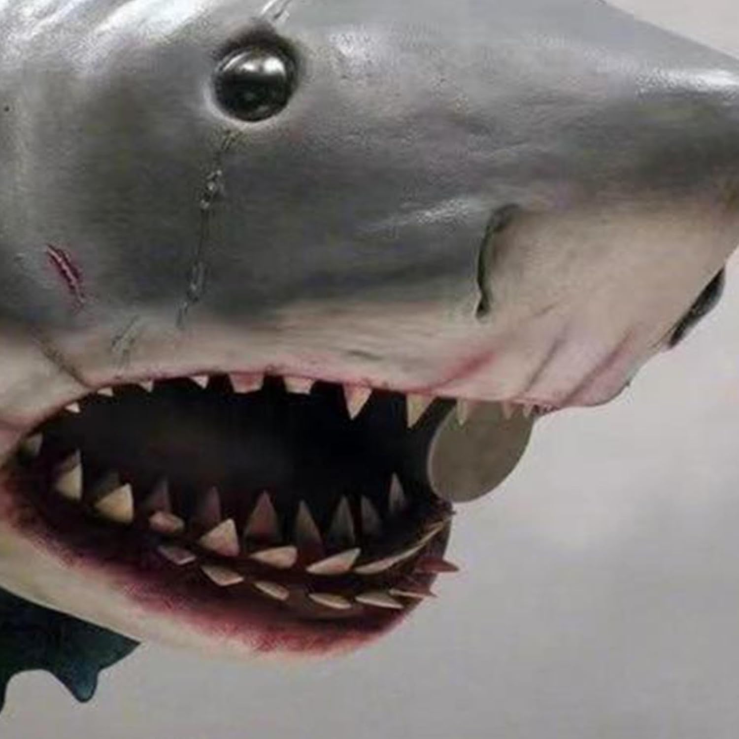 Shark Wall Mounted Trophy Sculpture Realistic Shark Head Decor