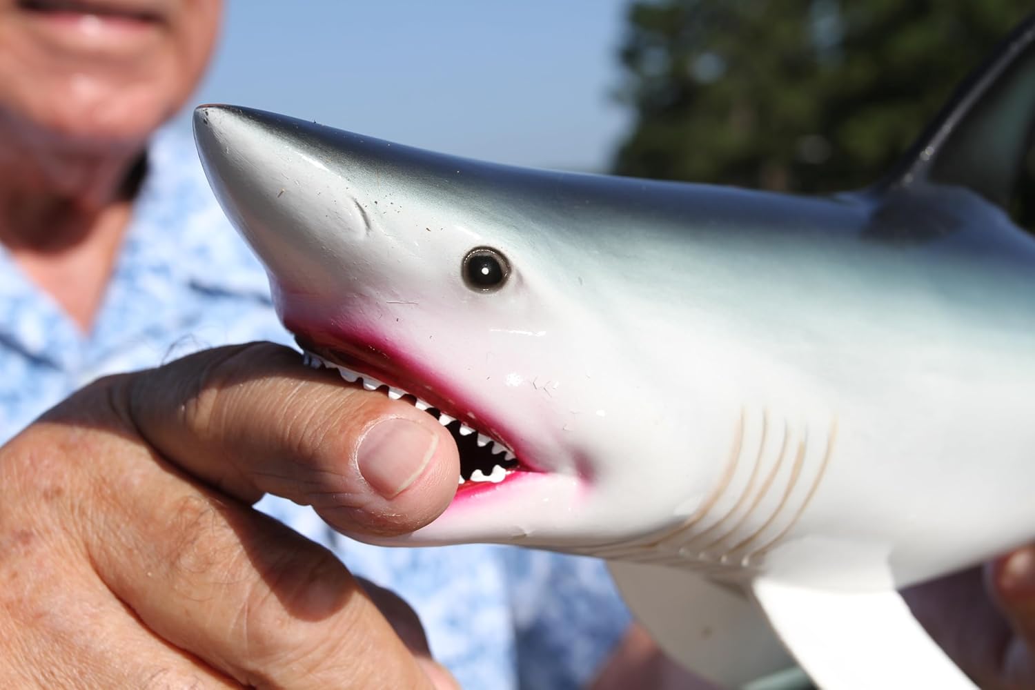 2 - Decorative 3D Great White Shark Wall Decor Black and Grey