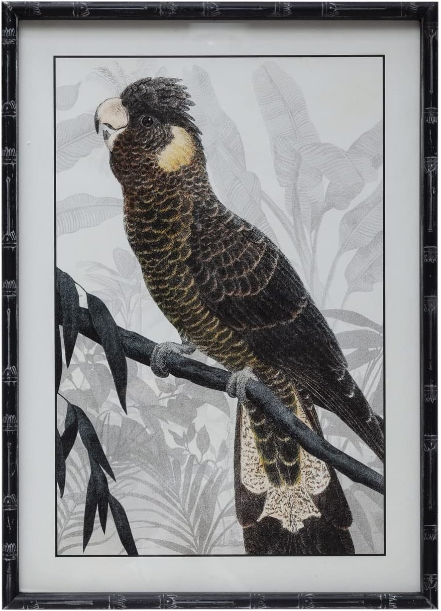 Creative Co-Op Wood Framed Glass Wall Decor with Parrot 1