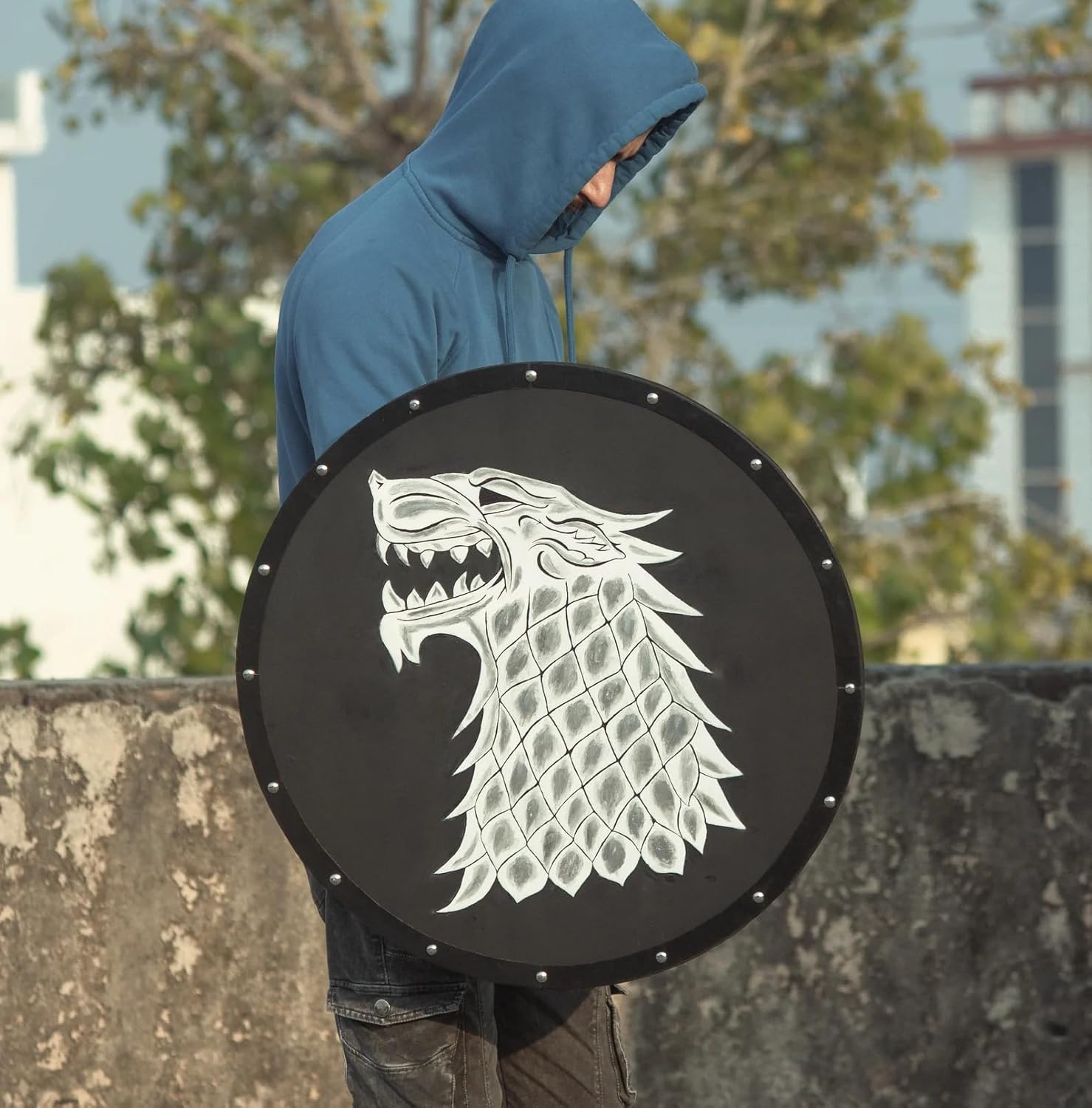 The Spidy Viking Shield Game of Thrones Inspired Limited Edition Wall Decor 30 Inches
