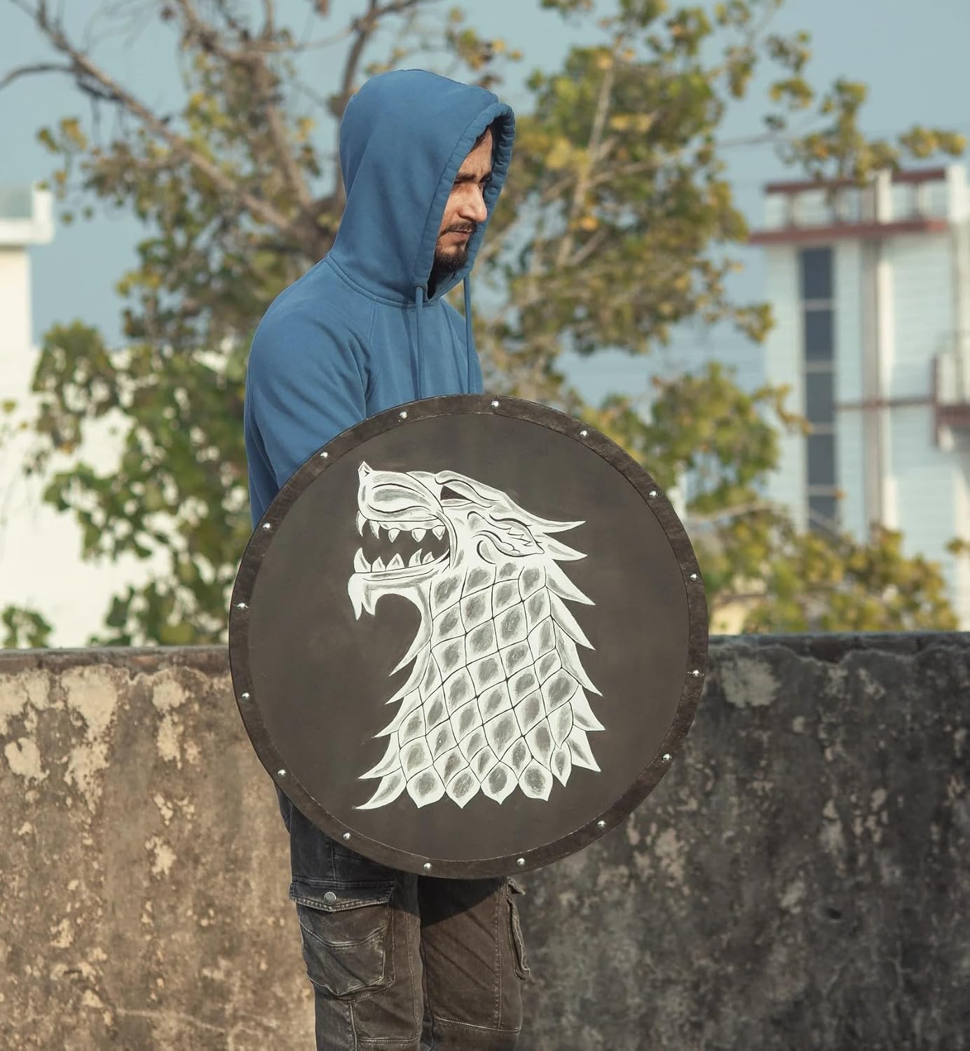 The Spidy Viking Shield Game of Thrones Inspired Limited Edition Wall Decor 30 Inches