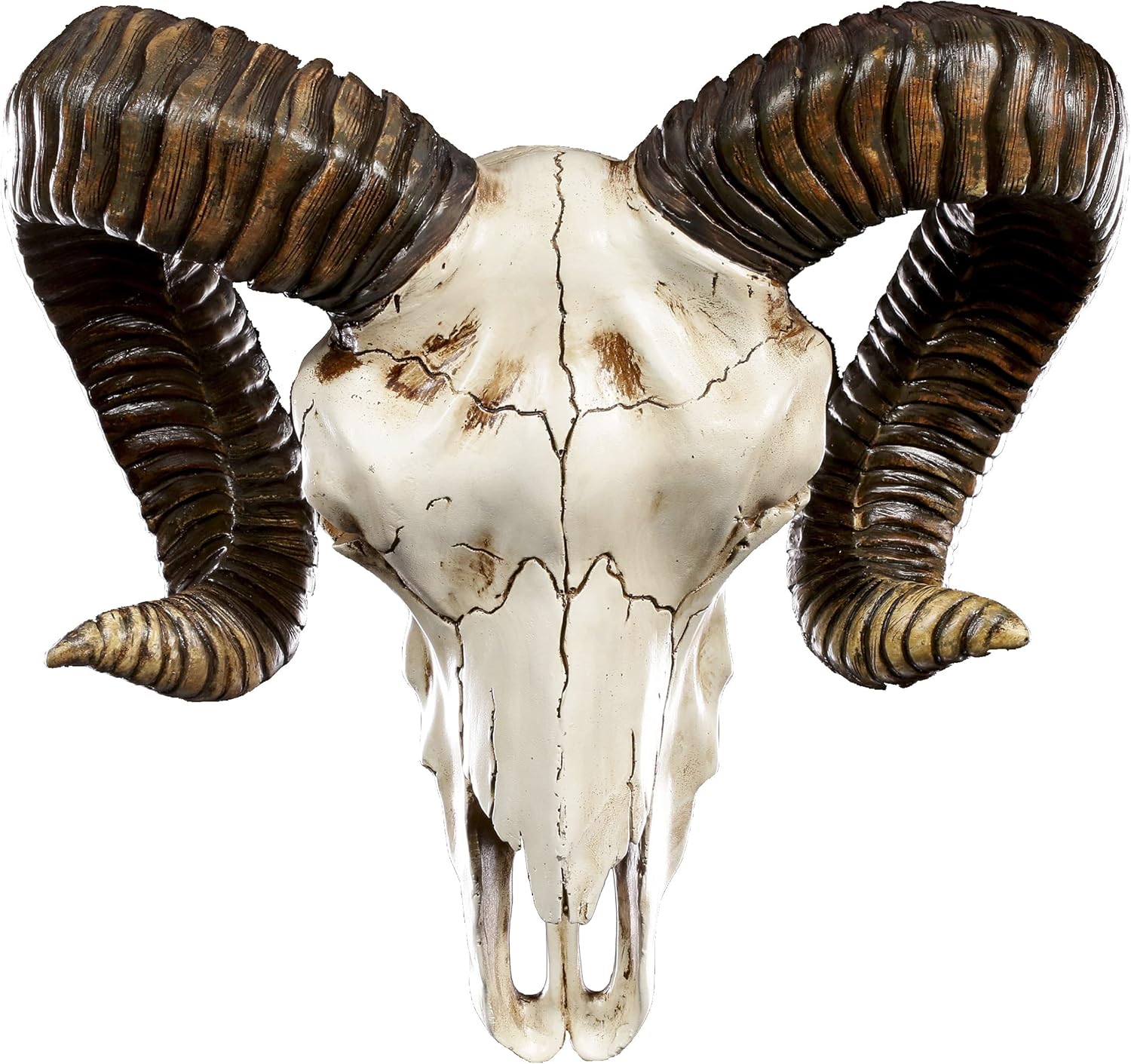 Pacific Giftware Ram Skull and Horns Wall Trophy Decor 11 Inch