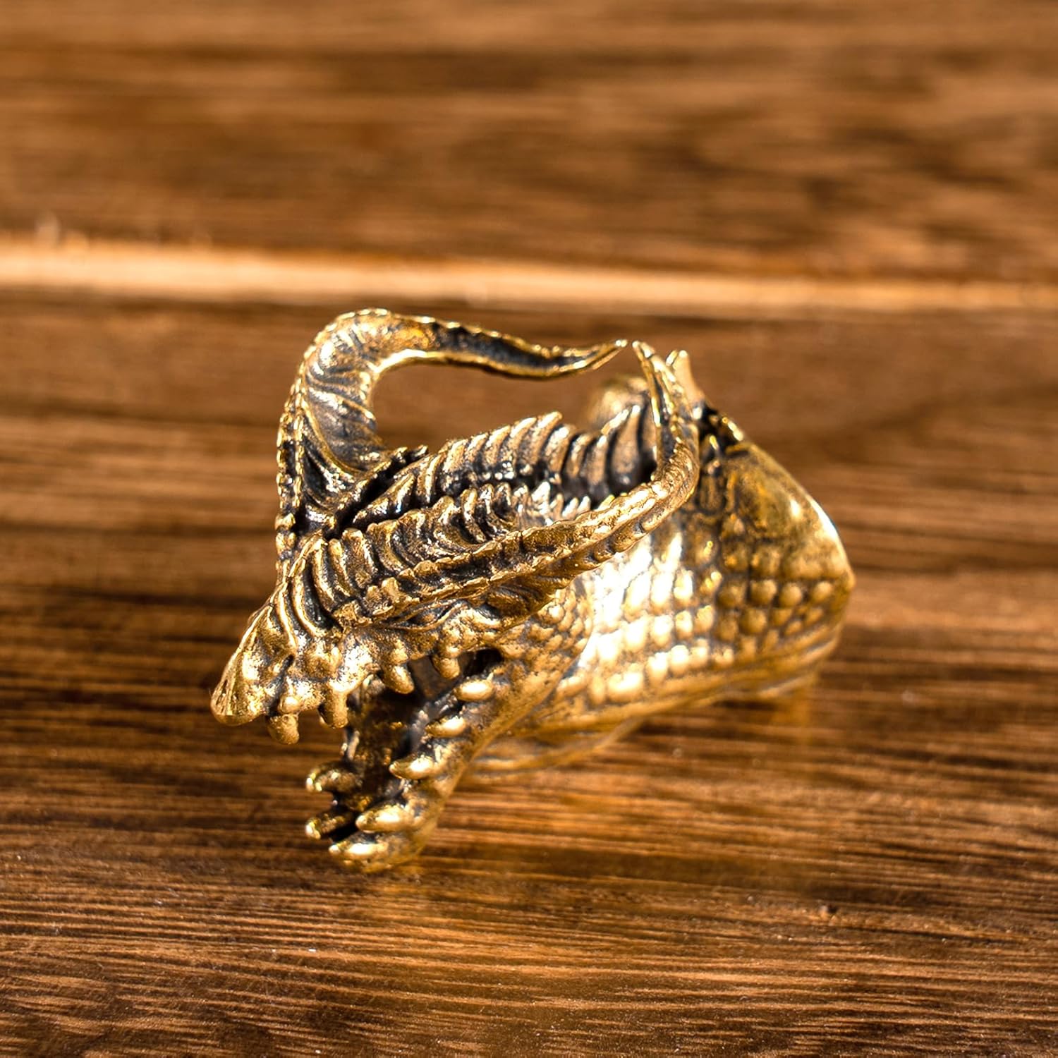 CHOVY Vintage Brass Banjo Dragon Head Wall Decor 1