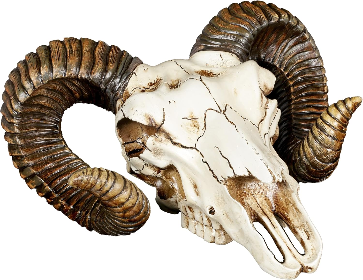Pacific Giftware Ram Skull and Horns Wall Trophy Decor 11 Inch